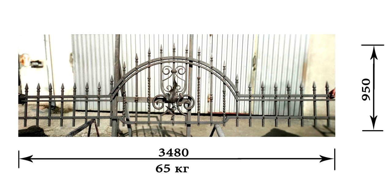 Wrought iron fence